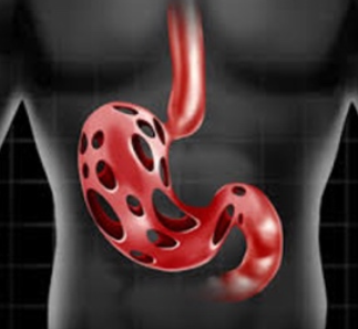 Gut Health and Brain Connection