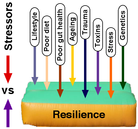 Stressors vs Resilience